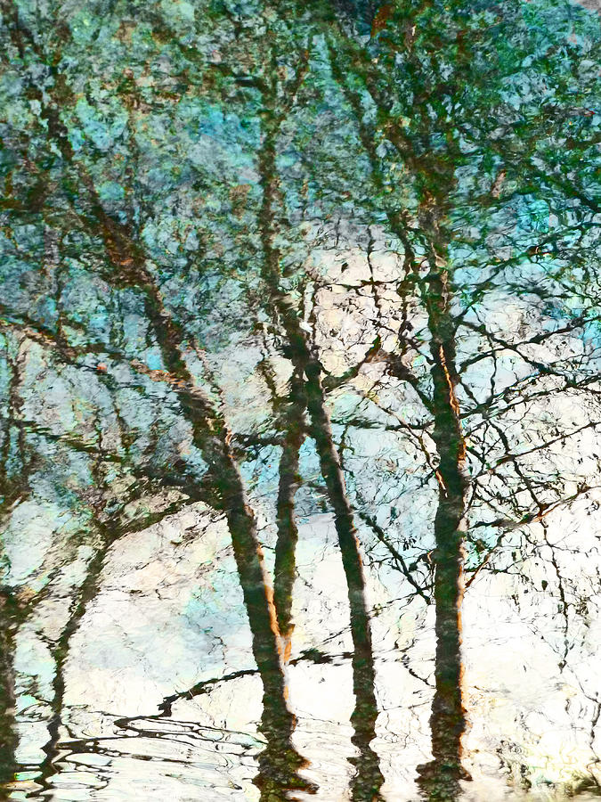 Claude Monet Photograph - The Reflected Trees by Steve Taylor