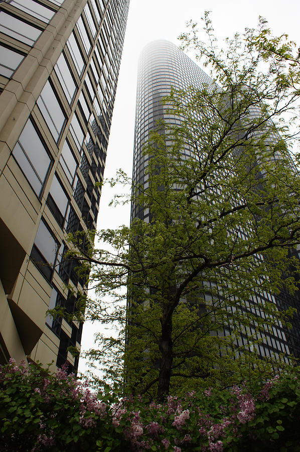 The Residential Skyscrapers Photograph by Gregory Lafferty - Fine Art ...