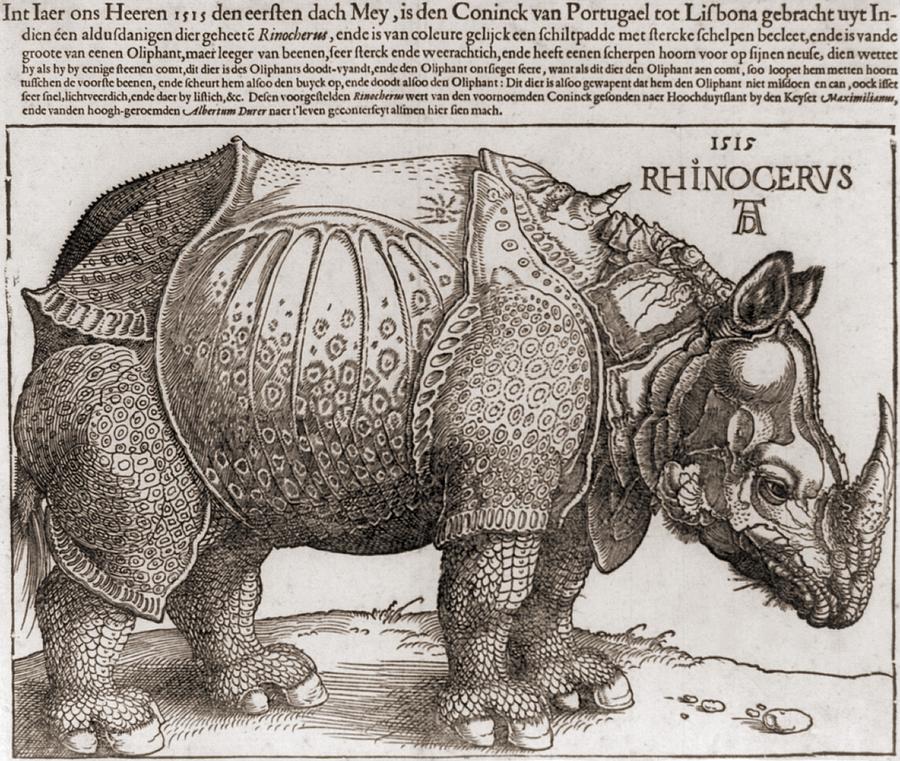 Albrecht DГјrers Woodcut Rhinoceros