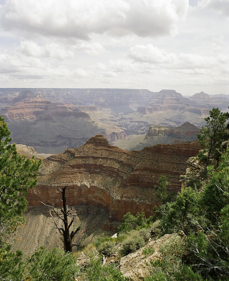 The Rim of the Grand Canyon Photograph by M K Miller