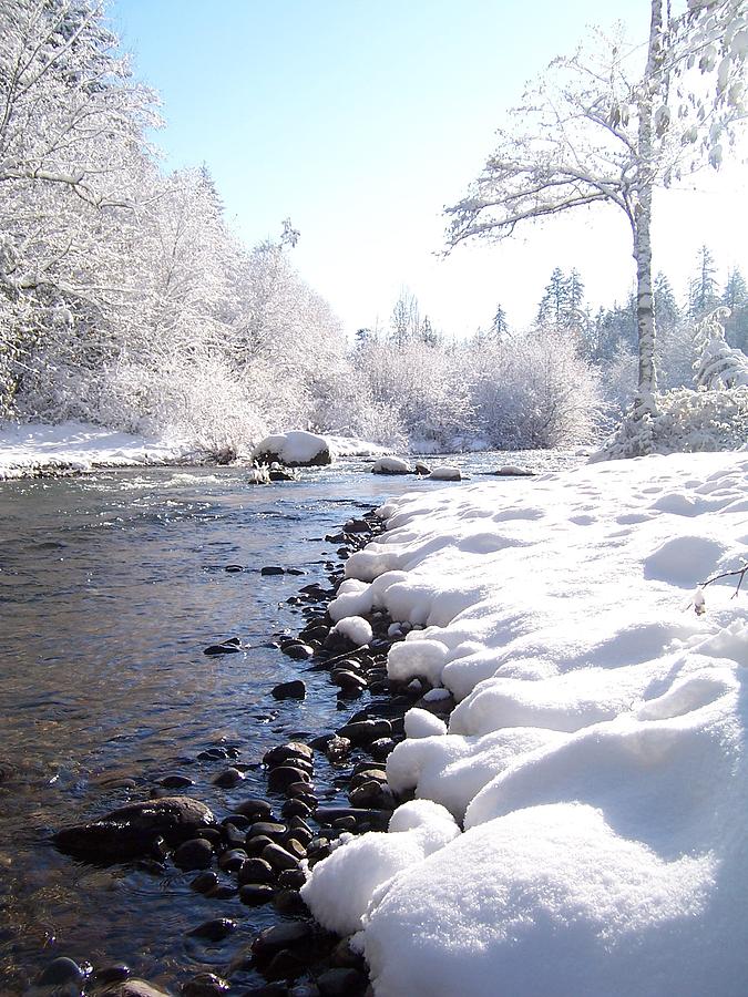 The River in Winter Photograph by Peter Mooyman