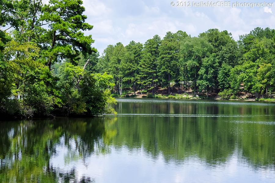 The river Photograph by Leslie R McCree - Fine Art America