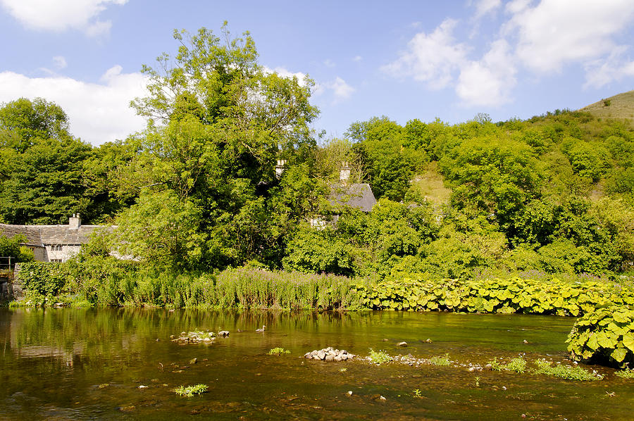 Tree Photograph - The River Wye at Upperdale by Rod Johnson