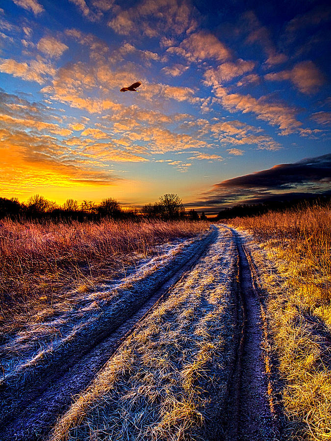Landscape Photograph - The Road Not Easily Taken by Phil Koch