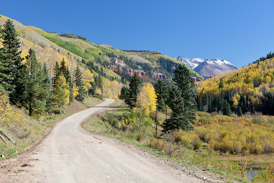 Fall Photograph - The Road to Mountain Colors by Tim Grams