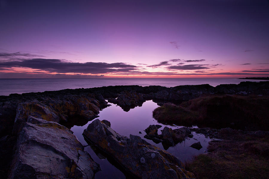 The rock pool at dawn Photograph by Celine Pollard