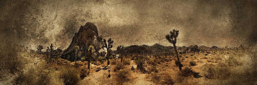 Desert Photograph - The Rock by Torgeir Ensrud