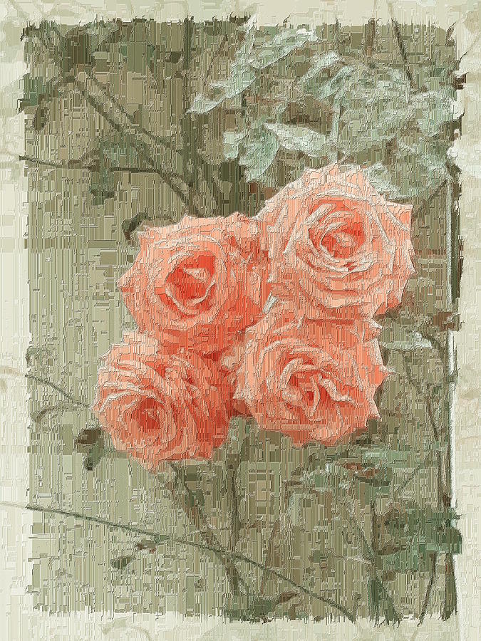 The Rose 2 Digital Art by Tim Allen