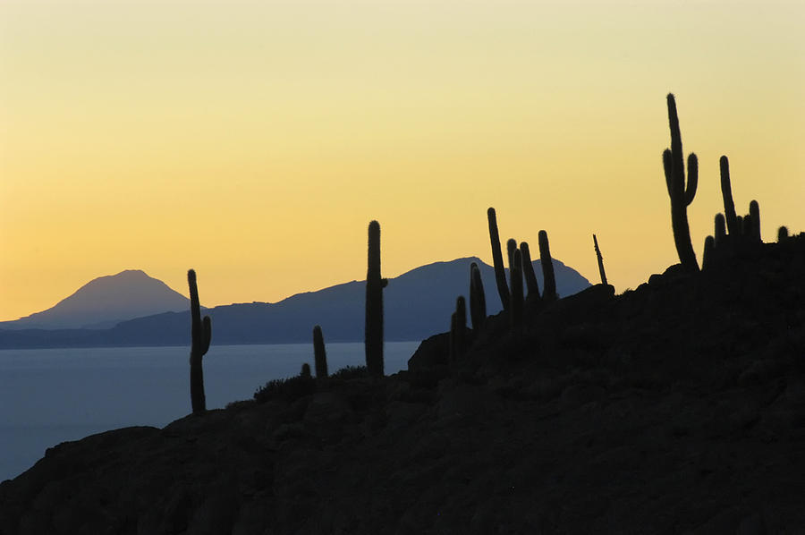 Sunset Photograph - The Salar de Uyuni and silhouettes of cactus. Republic of Bolivia. by Eric Bauer