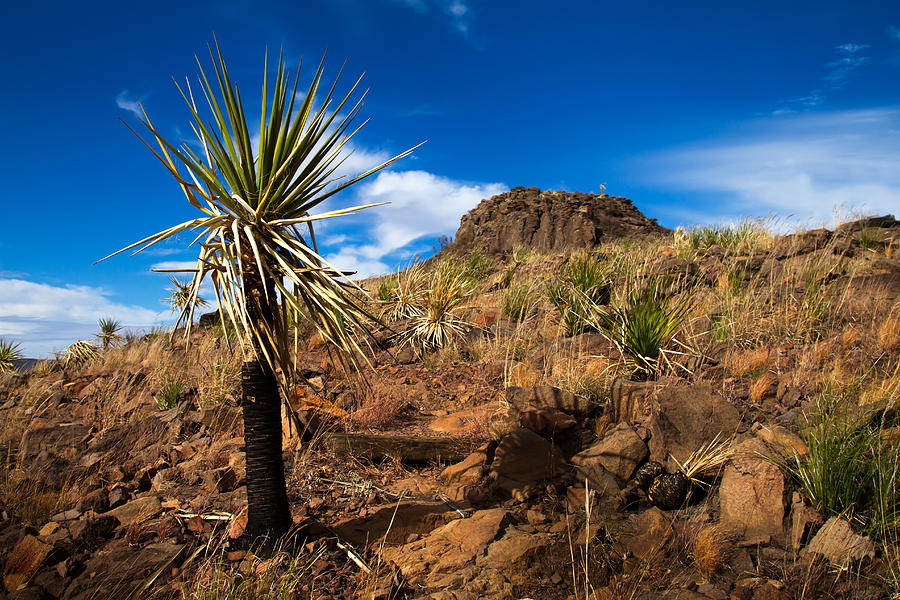 Cloud Photograph - The Sentinel by Jason Smith Cloud Photograph - The Sentinel by Jason Smith