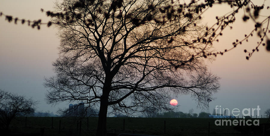 The Setting Sun Photograph by Vilas Malankar