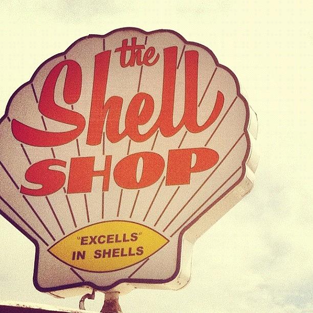 Shell Photograph - The Shell Shop - Morro Bay #california by Veronica Rains