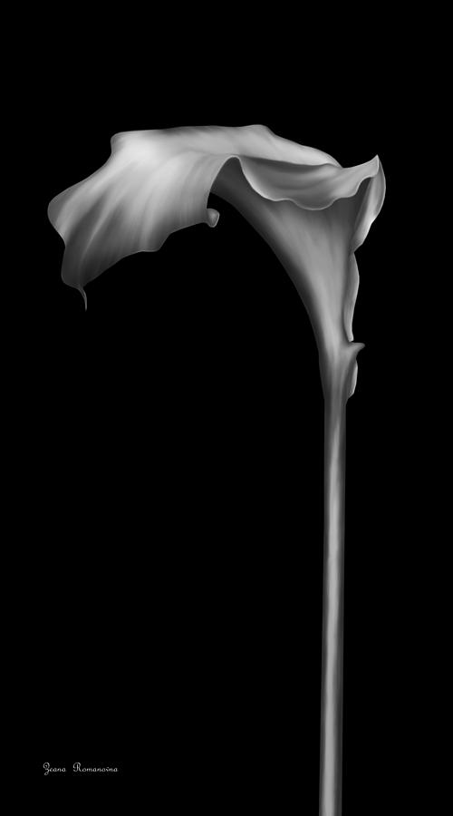 Flower Digital Art - The Silver Calla Lily by Georgiana Romanovna