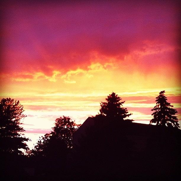 Sunset Photograph - The Sky is a Canvas by Sara Lovelace