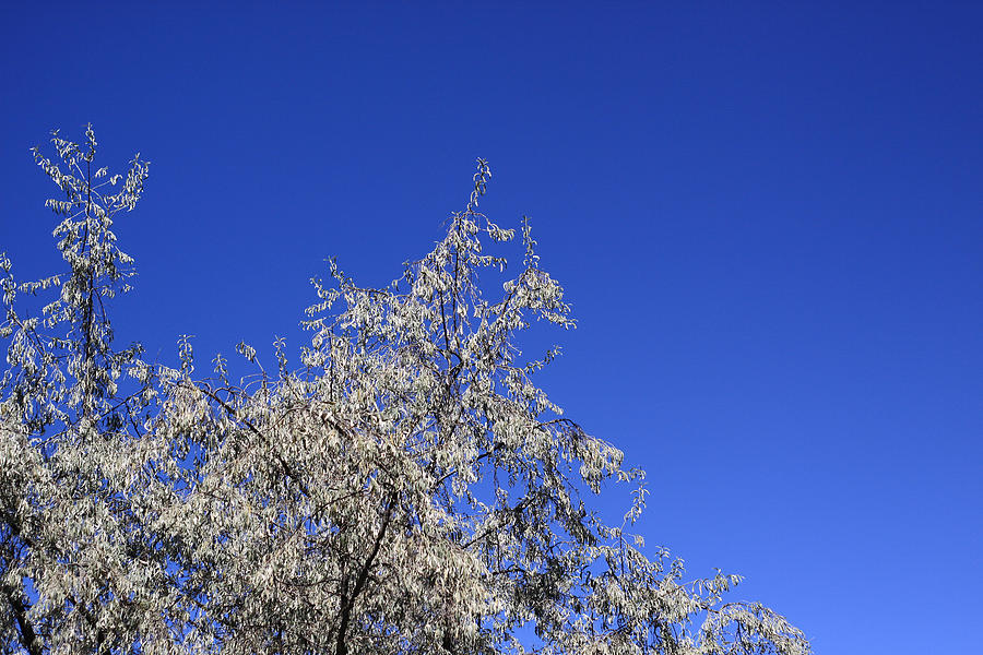 The Sky is blue Photograph by Dragan Kudjerski