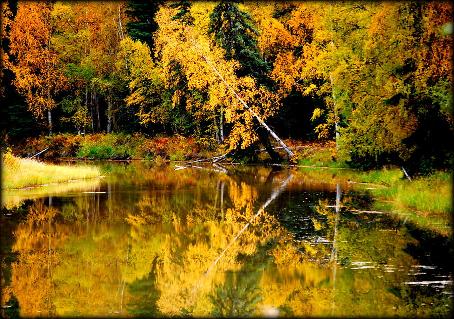 Fall Photograph - The Slough in September II by Kathy Sampson