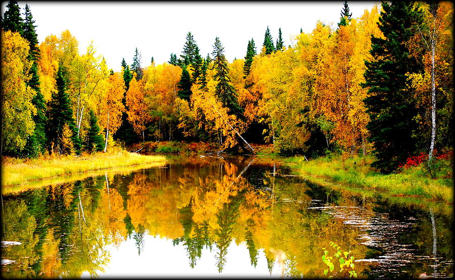 The Slough in September IIII Photograph by Kathy Sampson - Fine Art America