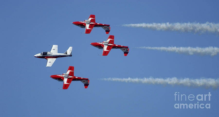The Snowbirds Playing It Cool Photograph by Bob Christopher