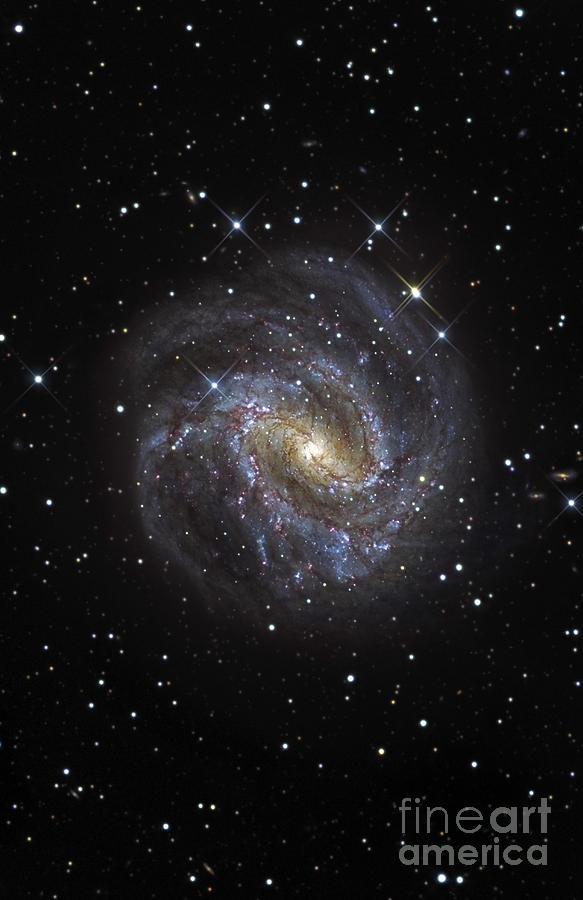 Space Photograph - The Southern Pinwheel Galaxy by R Jay GaBany