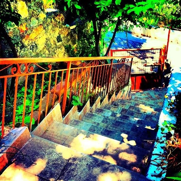 Mountain Photograph - The #stairs Down My #grandparents by Stacy Stylianou