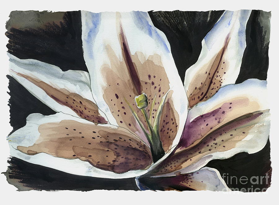 Star Gazer Lily Painting by Steven  Nakamura