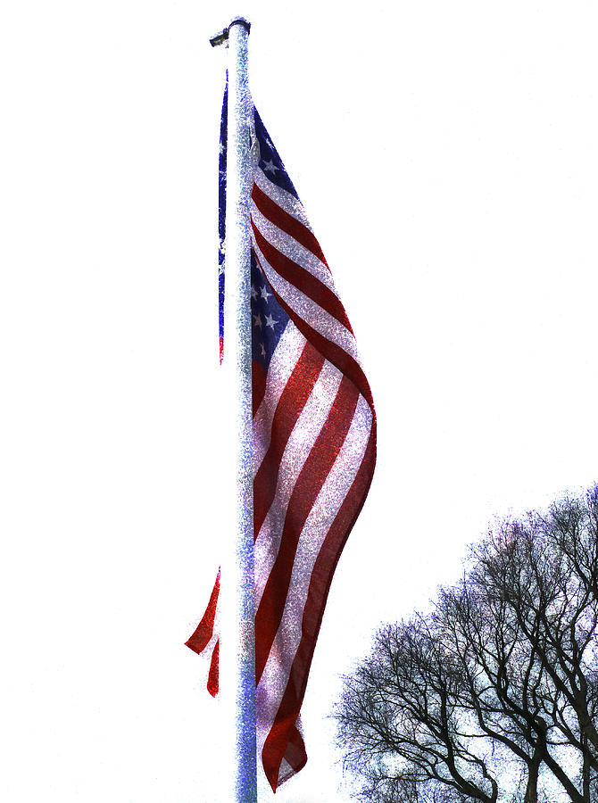 The Star Spangled Banner Photograph by Steve Taylor