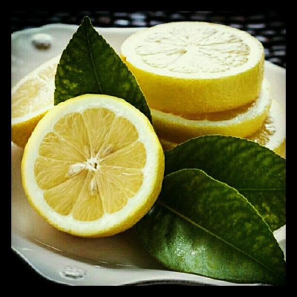 Lemon Photograph - The Start Of Something Refreshing by Mary Carter