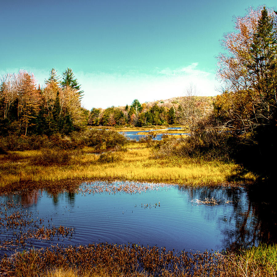 The Still Of Autumn In The Adirondacks Photograph