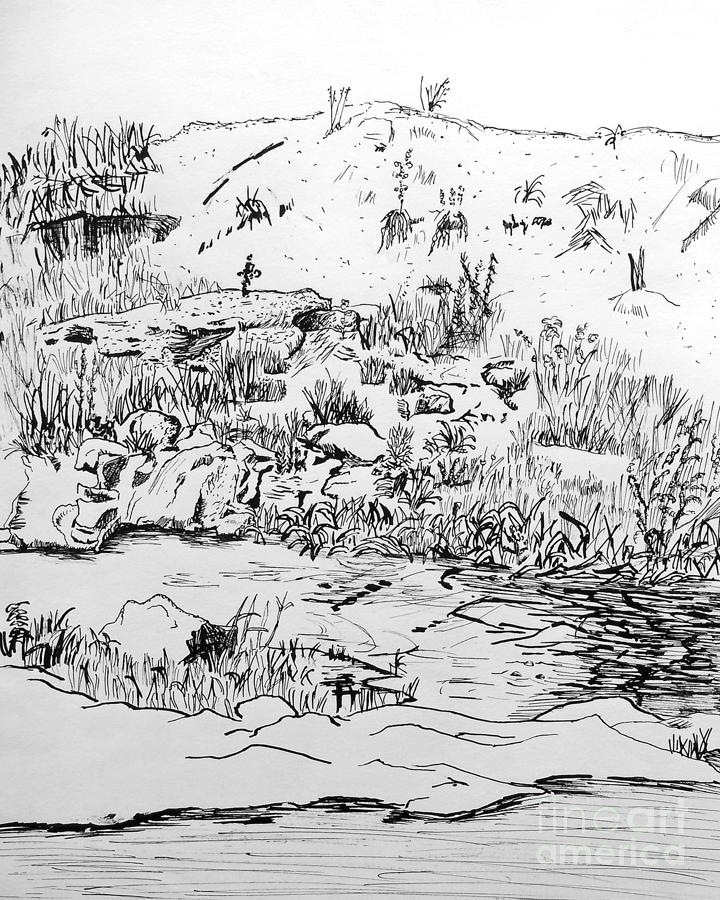 The Stream Drawing by Brian  Commerford