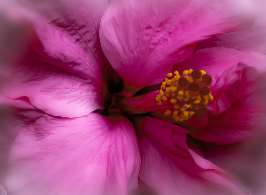 The Strength of Pink Photograph by DigiArt Diaries by Vicky B Fuller