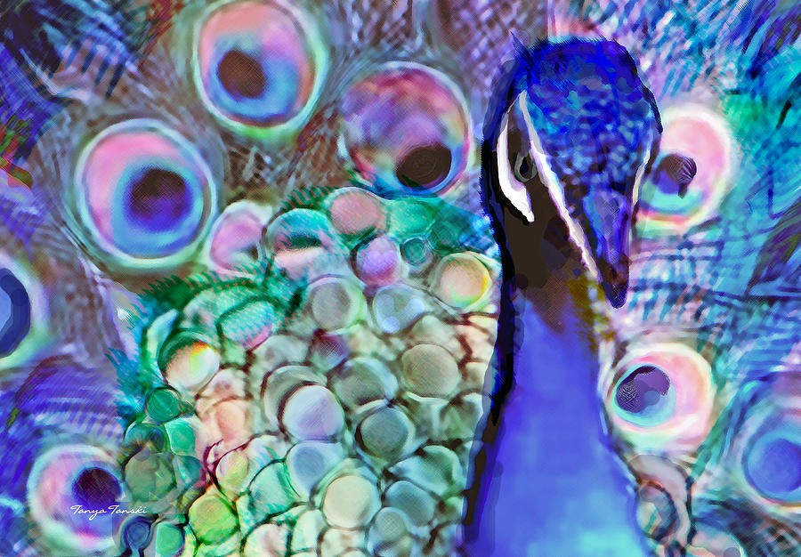 Peacock Painting - The Strut..... by Tanya Tanski