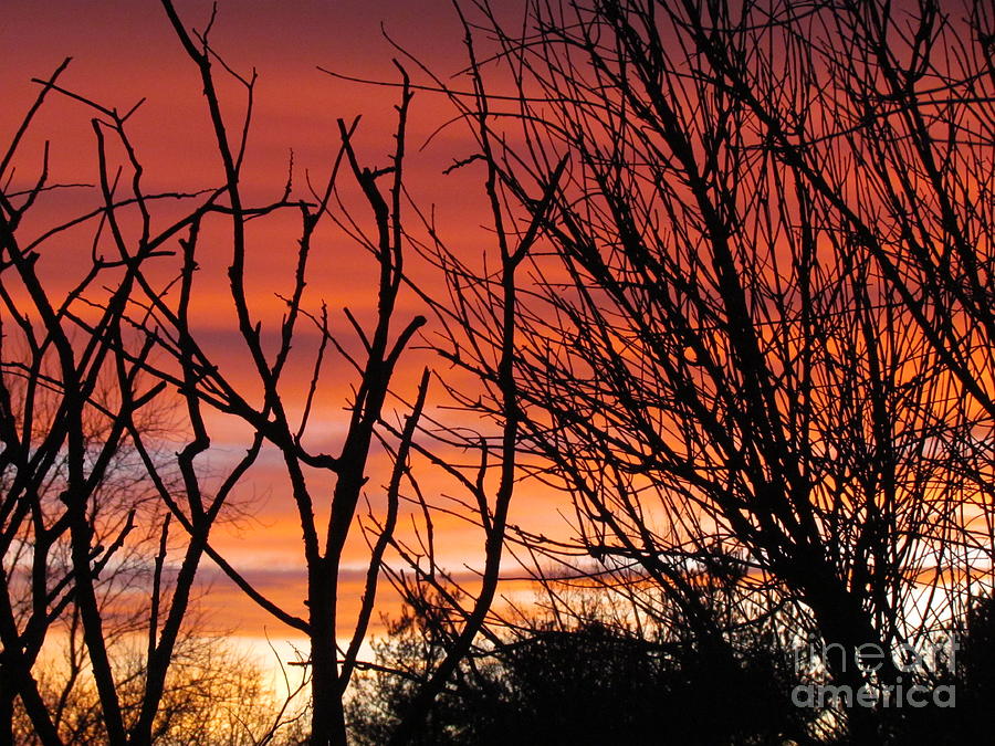 Sunset Photograph - The sun sets by Trish Clark