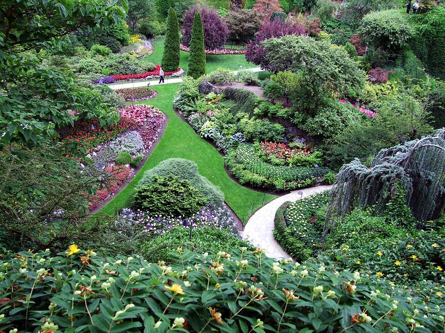 The Sunken Garden Photograph by George Cousins - Pixels