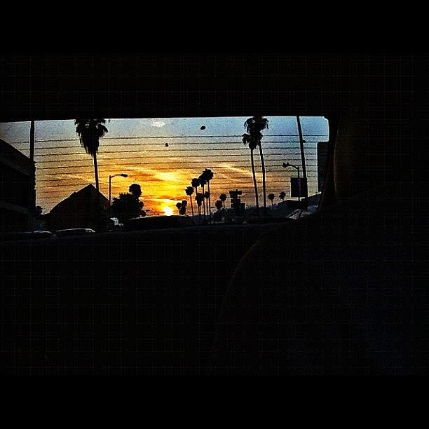Hollywood Photograph - The Sunset Was So Cool Tonight But I by Loghan Call
