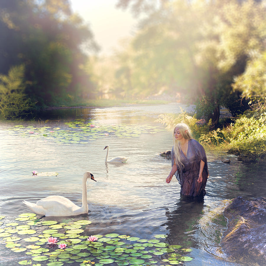 Swan Digital Art - The swan and the fairy  by Cindy Grundsten