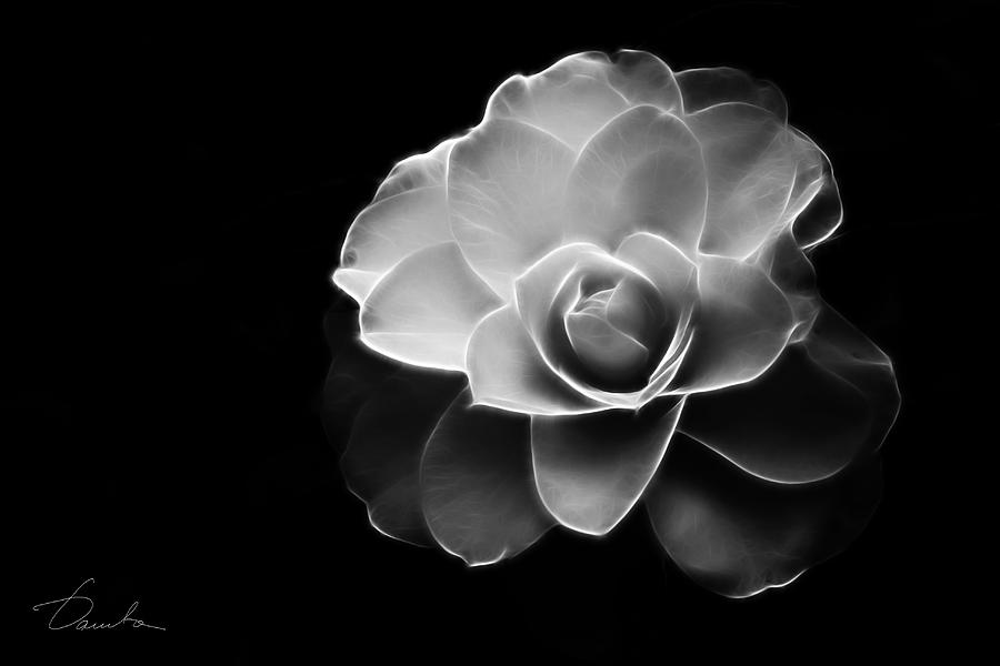 Black And White Photograph - The sweet innocence by Danuta Bennett