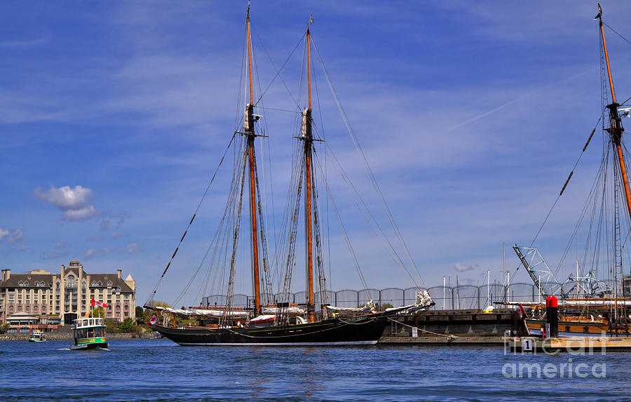 The tall ship Pacific Grace based in Victoria Canada Photograph by Louise Heusinkveld