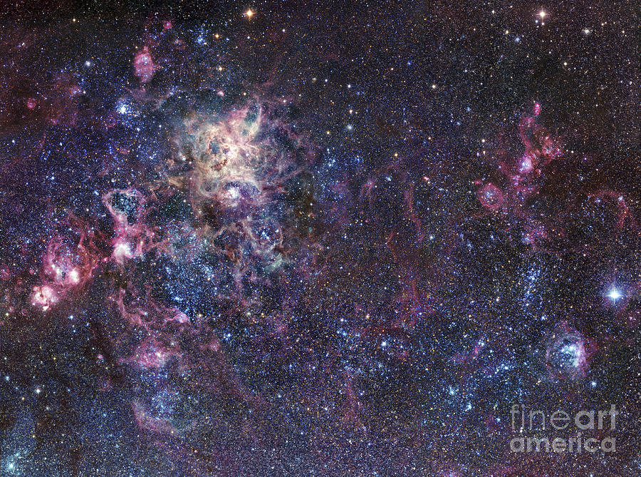 Interstellar Photograph - The Tarantula Nebula by Robert Gendler