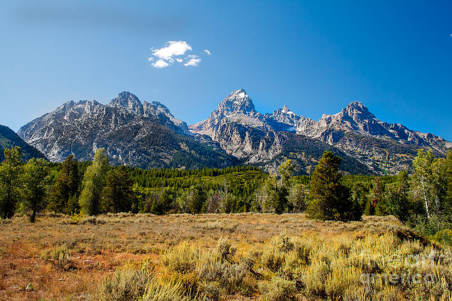 The Tetons Mountains Photograph by Robert Bales