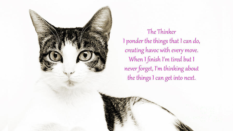 The Thinker Pink Photograph by Andee Design