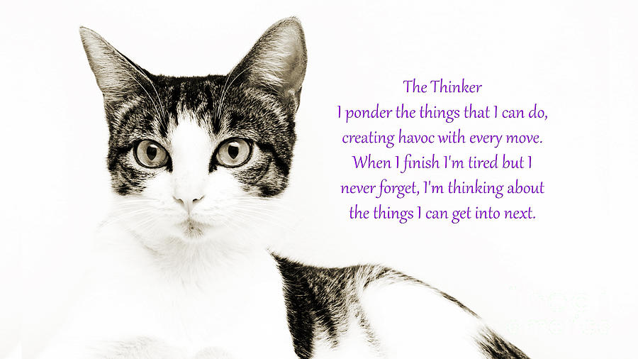 The Thinker Purple Photograph by Andee Design