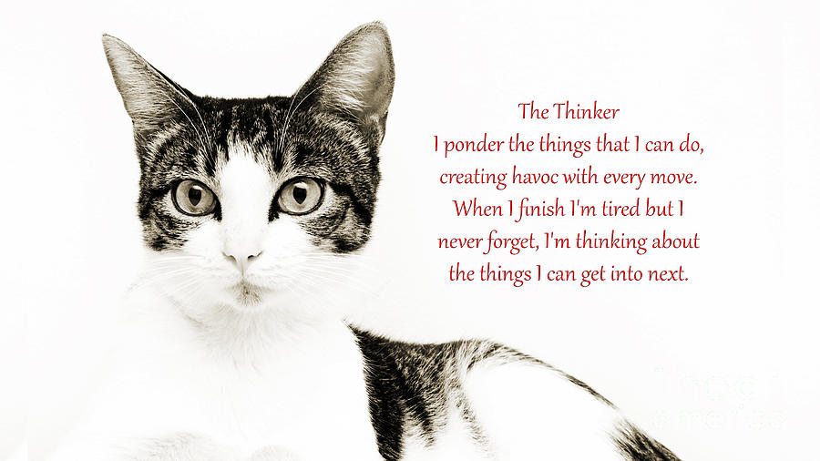 The Thinker Red Photograph by Andee Design