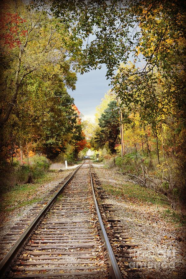 The Tracks Photograph by Kimberly Peterson - Fine Art America