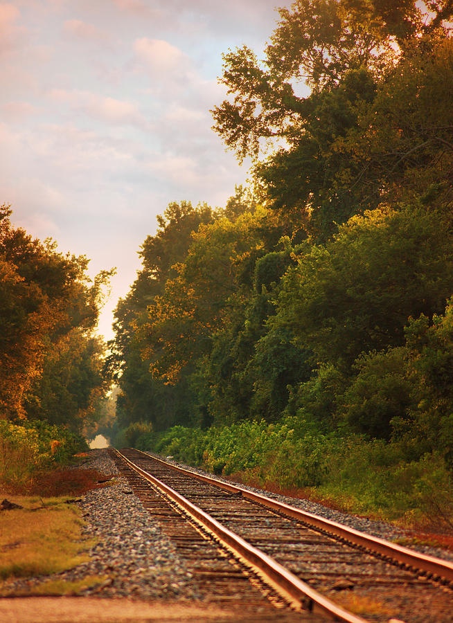 The Tracks Photograph