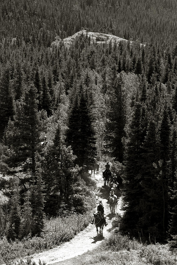 The Trail Riders Photograph by Lorraine Devon Wilke
