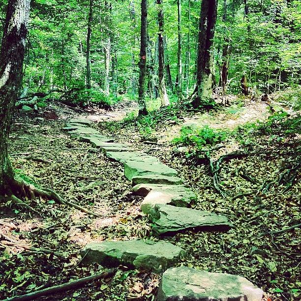 The Trail To The Beautiful Catskill Mtn Photograph by Prairie Rose