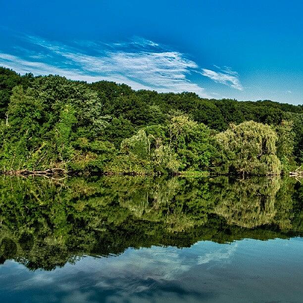 The Tranquility Of Clove Lake Park Photograph by Ramon Nuez