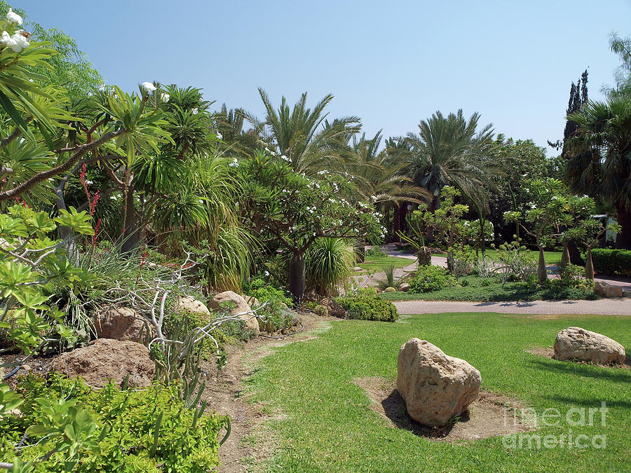 The Tropical garden in Kibbutz Ein Gedi 03 Photograph by Arik Baltinester