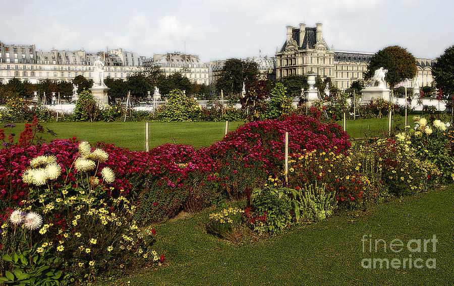 The Tuilleries Garden in Paris Photograph by Mike Nellums - Fine Art ...