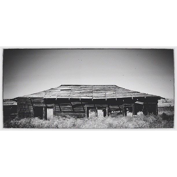 Ghosttown Photograph - The Unclaimed Town by David Root